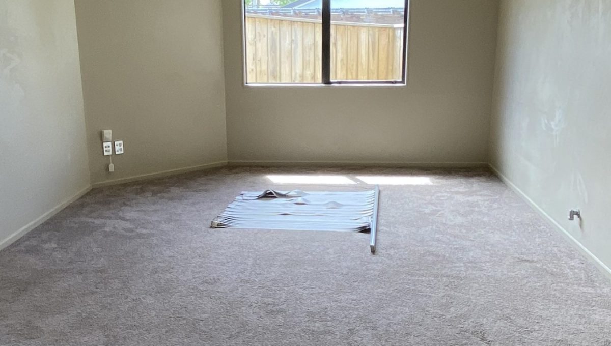 83e4-H3201415-123077055__1732243652-148835-IMG7404