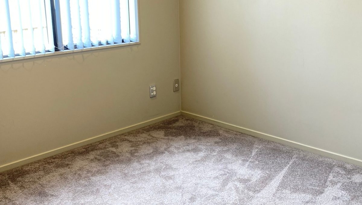 9709-H3201415-123076880__1732243638-160302-IMG7391