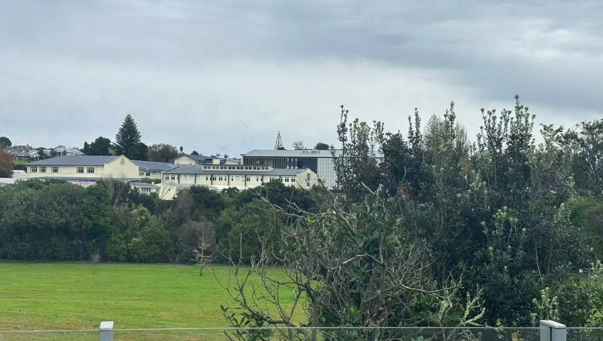 2311565087