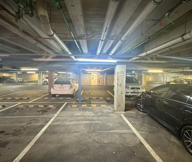 2311565094
